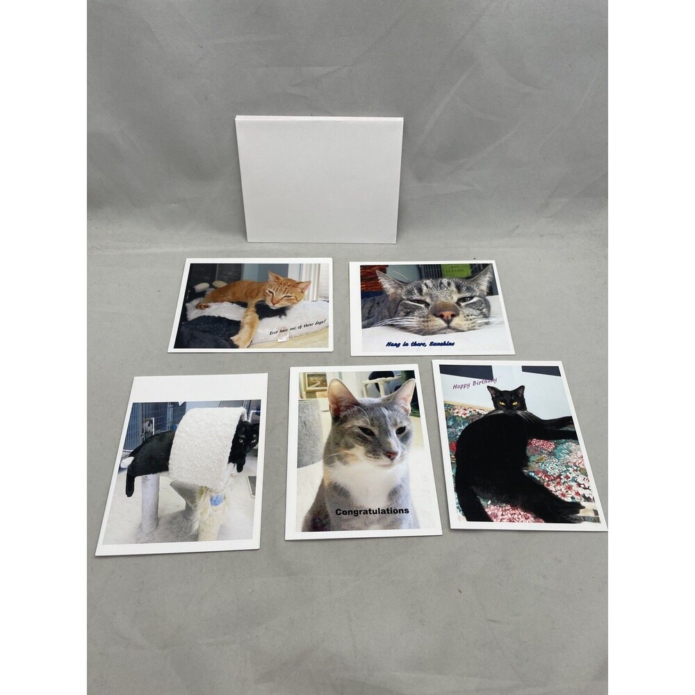 Cat Greeting Cards Envelopes Lydias Fancy Felines Evelyn McDonald Set of 5